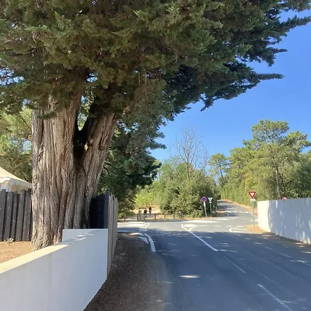Maison Fleur Des Pins - A 2 Pas De La Et En Lisiere De Foret Domaniale