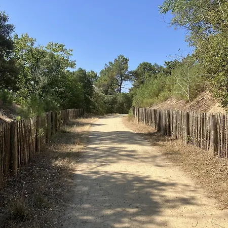 Maison Fleur Des Pins - A 2 Pas De La Et En Lisiere De Foret Domaniale